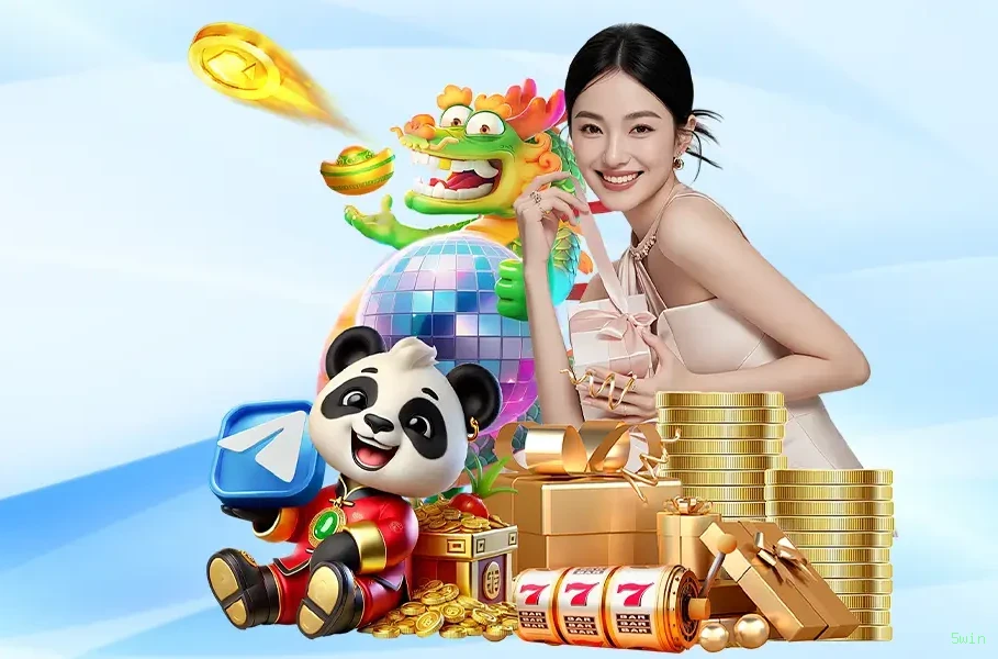 5win Provedores Premium